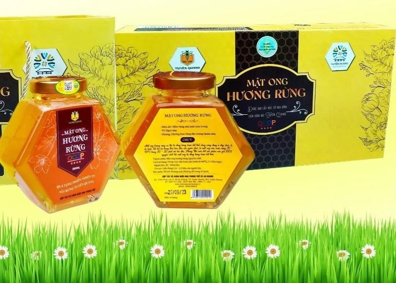 MẬT ONG HOA RỪNG  LỤC GIÁC 380MLX2